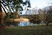  View at Stokesay Court 