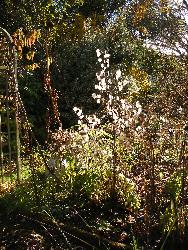  View in late summer - Aulden 