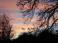  Aulden Sky, framed by our Ash 