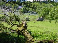 Brecon Canal 