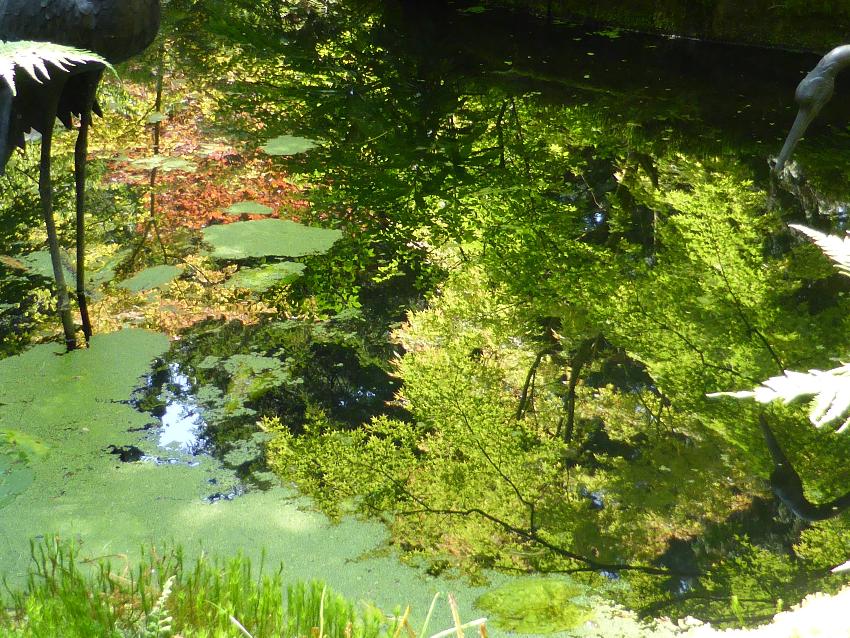  Tatton Park 