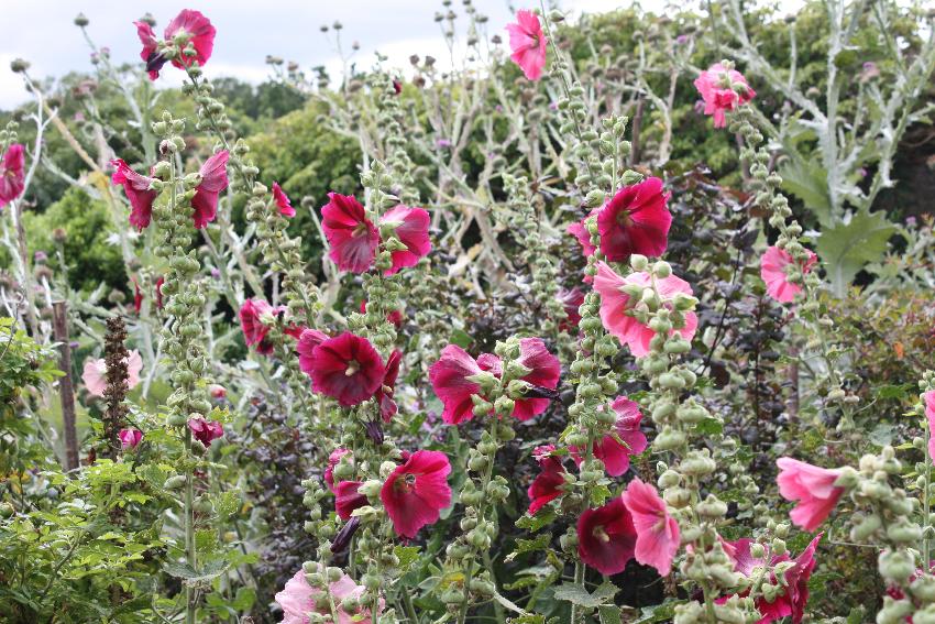 Barrington Court NT 