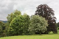  Millichope Park, Shropshire 