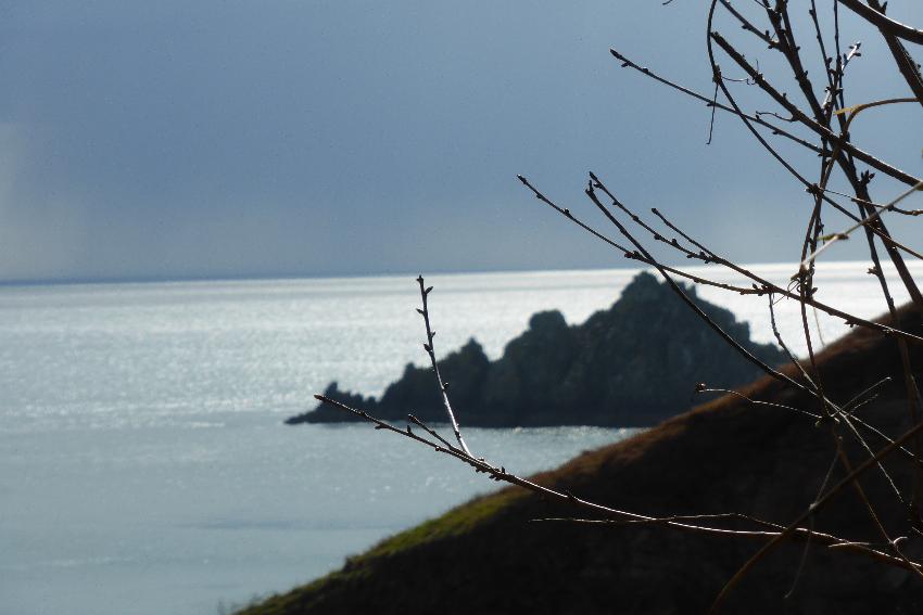  Coleton Fishacre NT 