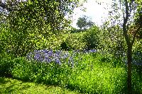  Titley Mill, Herefordshire 