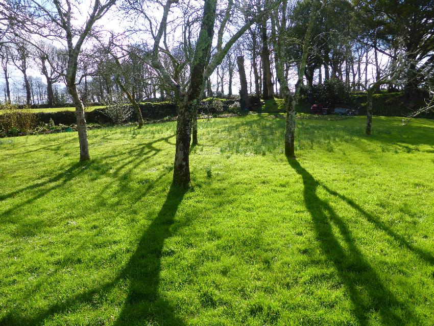  Godolphin NT, Cornwall - February 2016 