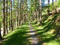  Elan Valley - May 2016 