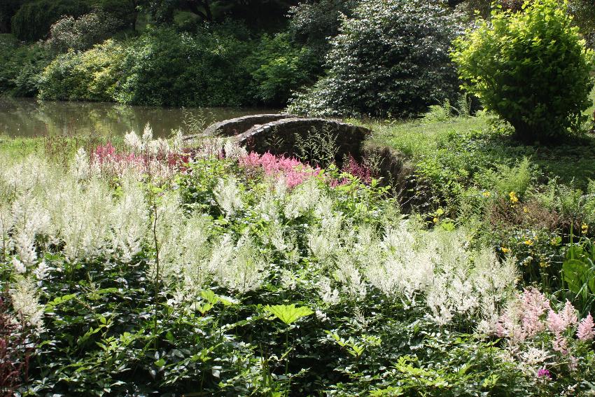  Marwood, Devon - July 2016 