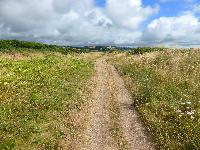  Slapton Ley - July 2016 