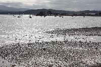  Beaumaris - September 2016 