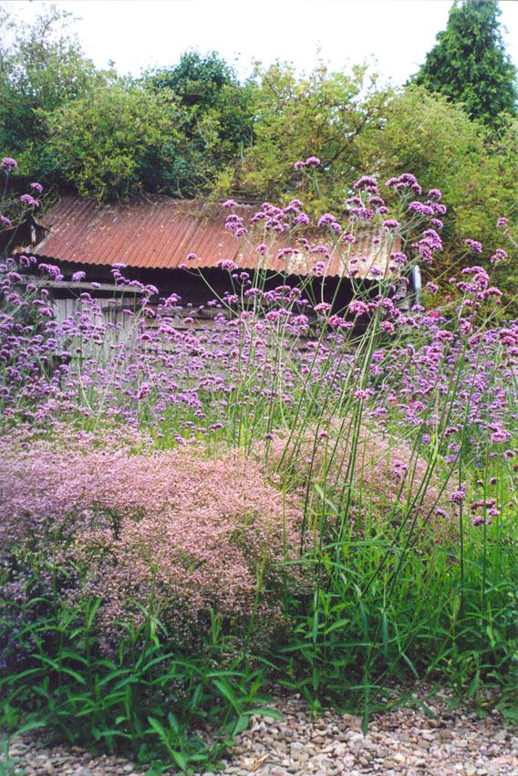 A view of the garden at Aulden Farm