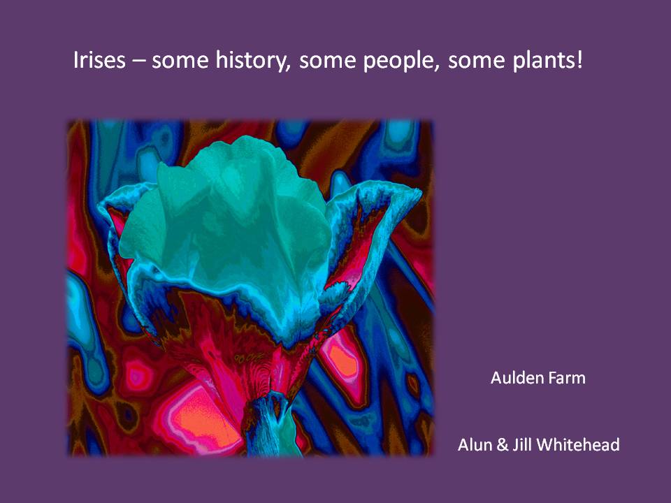 Irises: Some History, Some People, Some Plants!